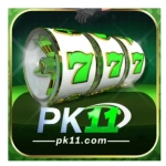PK11 Game